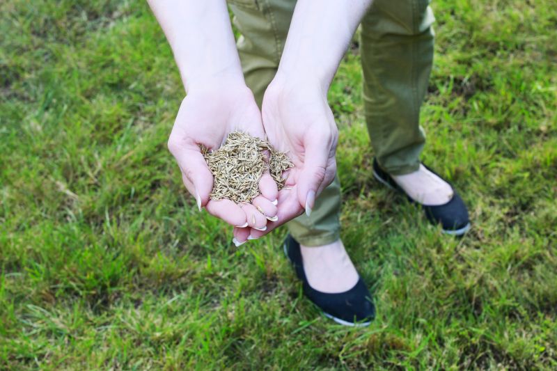 Healthy Lawn After Cleanup