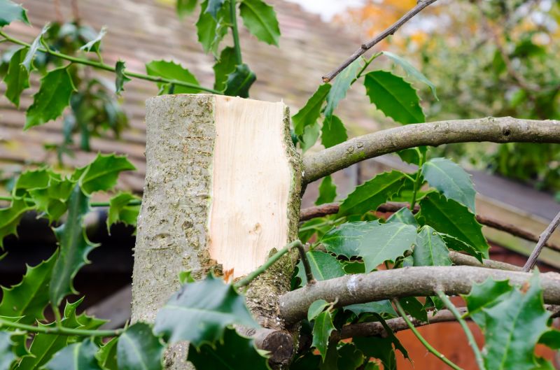 Effective Removal in Progress