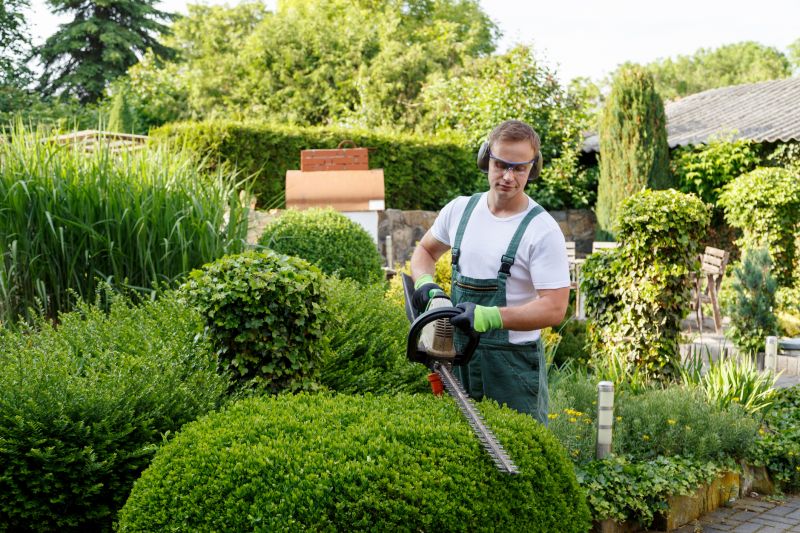 Neatly Trimmed Bushes