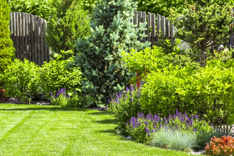 Healthy Landscape Restoration